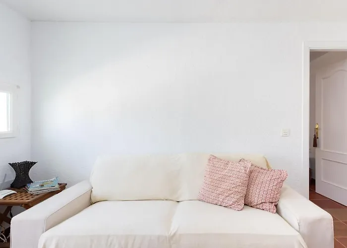 Live Socorro Juan Fu Rural *